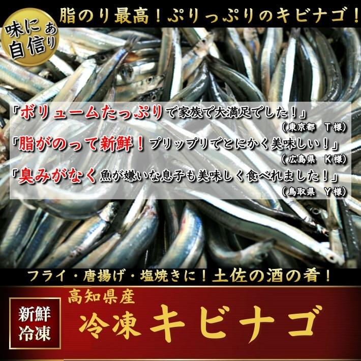 楽天市場 天然キビナゴ たっぷり1kg 高知県宿毛産 活き冷凍きびなご 粗塩付き 唐揚げ フライ 天ぷら 酒の肴 海鮮 珍味 土佐カツオとうなぎ通販 池澤鮮魚