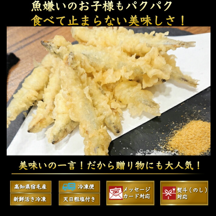 楽天市場 天然キビナゴ たっぷり1kg 高知県宿毛産 活き冷凍きびなご 粗塩付き 唐揚げ フライ 天ぷら 酒の肴 海鮮 珍味 土佐カツオとうなぎ通販 池澤鮮魚