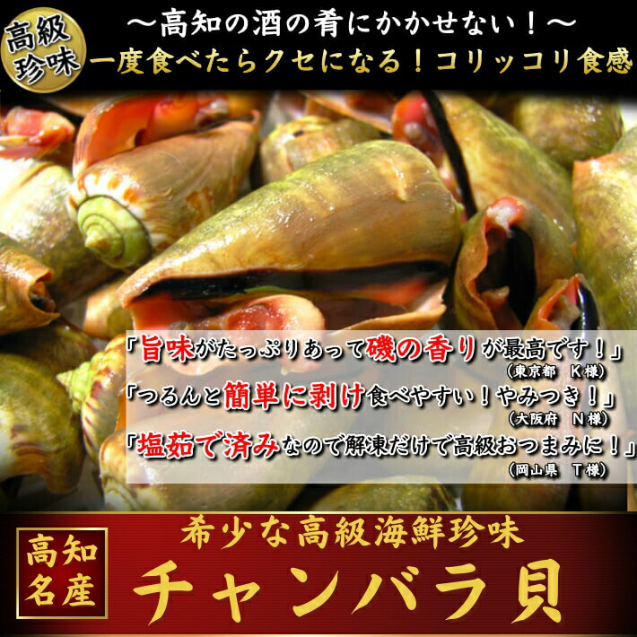 楽天市場 父の日 土佐の逸品 チャンバラ貝 マガキ貝 1kg 高級海鮮珍味 高知特産 酒の肴 ちゃんばら貝 塩茹で済み 誕生日 冷凍便 ギフト グルメ 珍味 海産物 送料無料 土佐カツオとうなぎ通販 池澤鮮魚