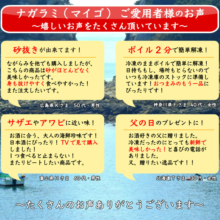 楽天市場 天然 ナガラミ マイゴ 1kg 海水ボイル 砂抜き 幻の貝 ながらみ 千葉県 九十九里浜産 冷凍 酒の肴 誕生日 ギフト お祝い 海産物 送料無料 土佐カツオとうなぎ通販 池澤鮮魚