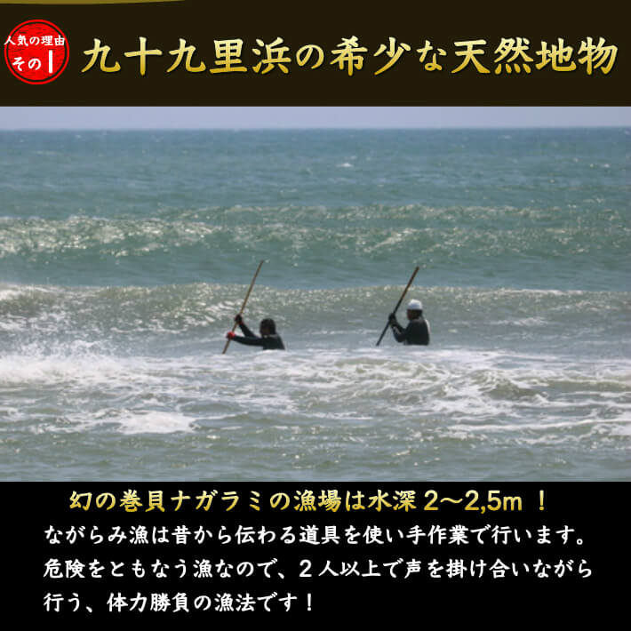 楽天市場 天然 ナガラミ マイゴ 1kg 海水ボイル 砂抜き 幻の貝 ながらみ 千葉県 九十九里浜産 冷凍 酒の肴 誕生日 ギフト お祝い 海産物 送料無料 土佐カツオとうなぎ通販 池澤鮮魚