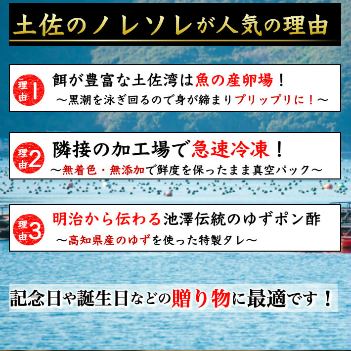 新到着 土佐珍味 のれそれ アナゴの稚魚 100g ノレソレ 特製秘伝タレ付き 高知県産 同梱用 冷凍便 ギフト 海鮮 珍味 海産物 qdtek.vn