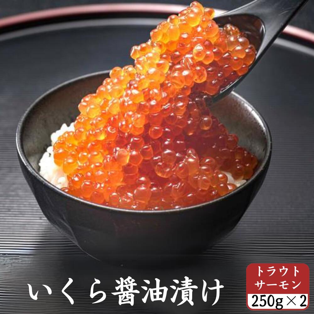 特選 いくら 醤油漬け 500g (250g×2) イクラ トラウトサーモン 冷凍便 お取り寄せ 誕生日 ギフト プレゼント 寿司 海鮮 贈答 お取り寄せ お取り寄せグルメ 送料無料