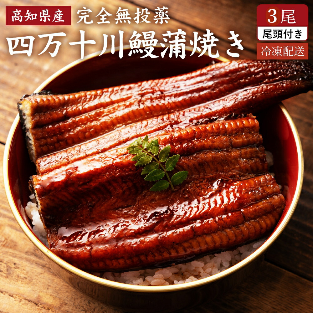 御中元 ギフト 国産うなぎ蒲焼き 四万十川の伏流水で育てた鰻 無投薬 高知県産 3本入り お中元 土用の丑の日 誕生日 プレゼント お祝い 贈答用 お取り寄せグルメ 送料無料|土佐カツオとうなぎ通販 池澤鮮魚