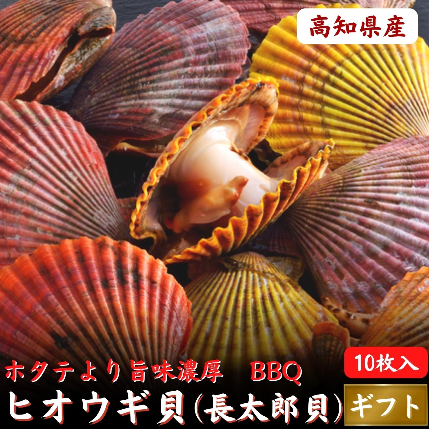 活きヒオウギ貝 枚 ひおうぎ貝 直送 大分県産