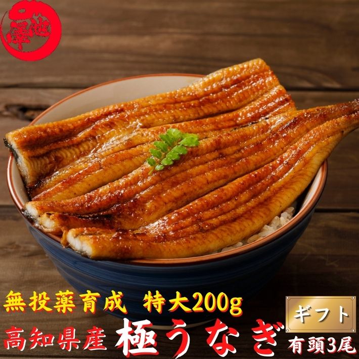 お中元 送料無料 鰻 うなぎ長焼 蒲焼き うなぎ お取り寄せ 2022 九州産 国産 海鮮 御中元 ウナギ 2尾 MUN-2 お取り寄せグルメ ギフト お中元 送料無料 鰻 うなぎ長焼 蒲焼き うなぎ お取り寄せ 2022 九州産 国産 海鮮 御中元 ウナギ 2尾 MUN-2 お取り寄せグルメ ギフト