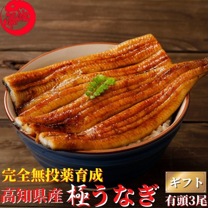 高知県産 うなぎ 蒲焼き 3尾セット 国産 完全無投薬 仁淀ブルーで育った鰻 秘伝のタレ 仁淀川 土用の丑 誕生日 プレゼント 父の日 お中元 御中元 ギフト お祝い 贈答用 お取り寄せ お取り寄せグルメ 送料無料 最強翌日配送