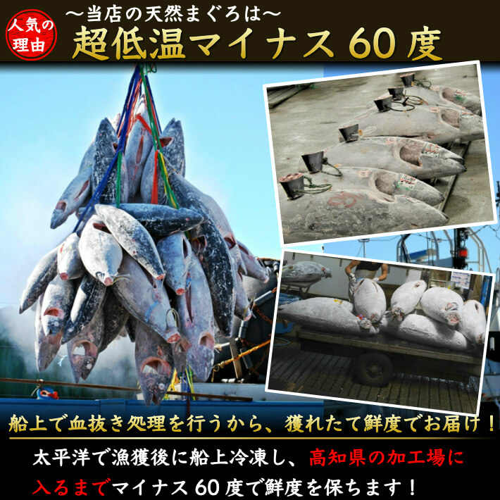 楽天市場 土佐沖 日戻り 藁焼き鰹たたき マグロ食べ比べセット キハダ鮪 メバチ鮪 まぐろ お取り寄せ グルメ 誕生日 ギフト 贈答用 送料無料 土佐 カツオとうなぎ通販 池澤鮮魚