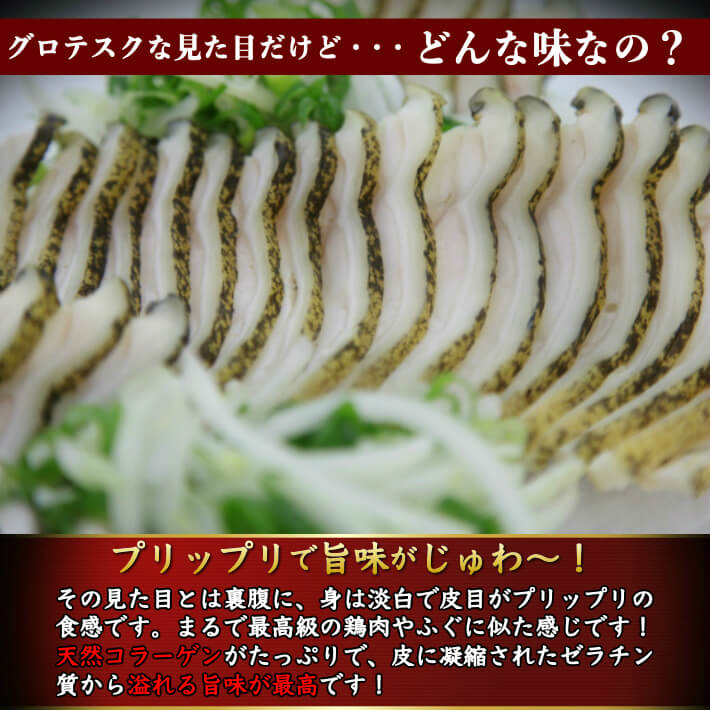 楽天市場 海鮮 珍味 ウツボのたたき 生ウツボカット ウツボの唐揚げ 天ぷら すき焼き 鍋用 うつぼ堪能セット たたき150g 生ウツボカット300g 高知 伝統食 誕生日 お取り寄せ グルメ 送料無料 土佐カツオとうなぎ通販 池澤鮮魚