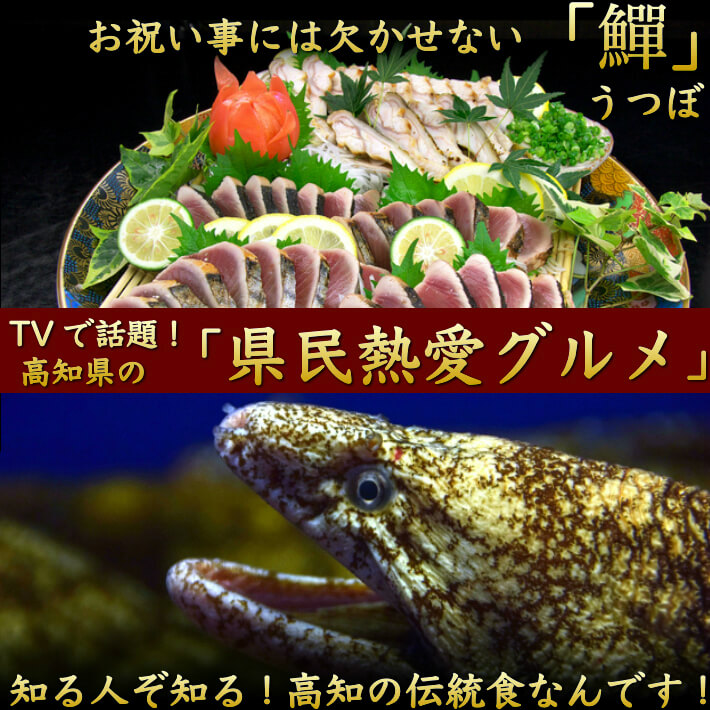 楽天市場 海鮮 珍味 ウツボのたたき うつぼ300g以上 ５人前 土佐 高知 伝統食 誕生日 ギフト おつまみ お取り寄せ グルメ 送料無料 土佐カツオとうなぎ通販 池澤鮮魚