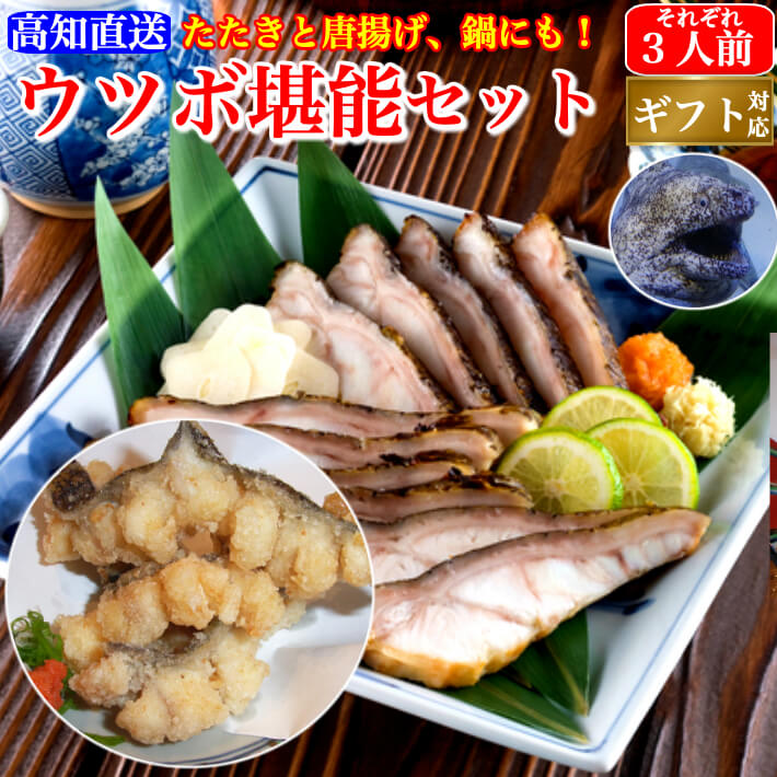 海鮮 珍味 ウツボのたたき 生ウツボカット（ウツボの唐揚げ、天ぷら、すき焼き、鍋用）うつぼ堪能セット (たたき150g、生ウツボカット300g)  高知 伝統食 誕生日 ギフト プレゼント お取り寄せ お取り寄せグルメ 送料無料 最強配送