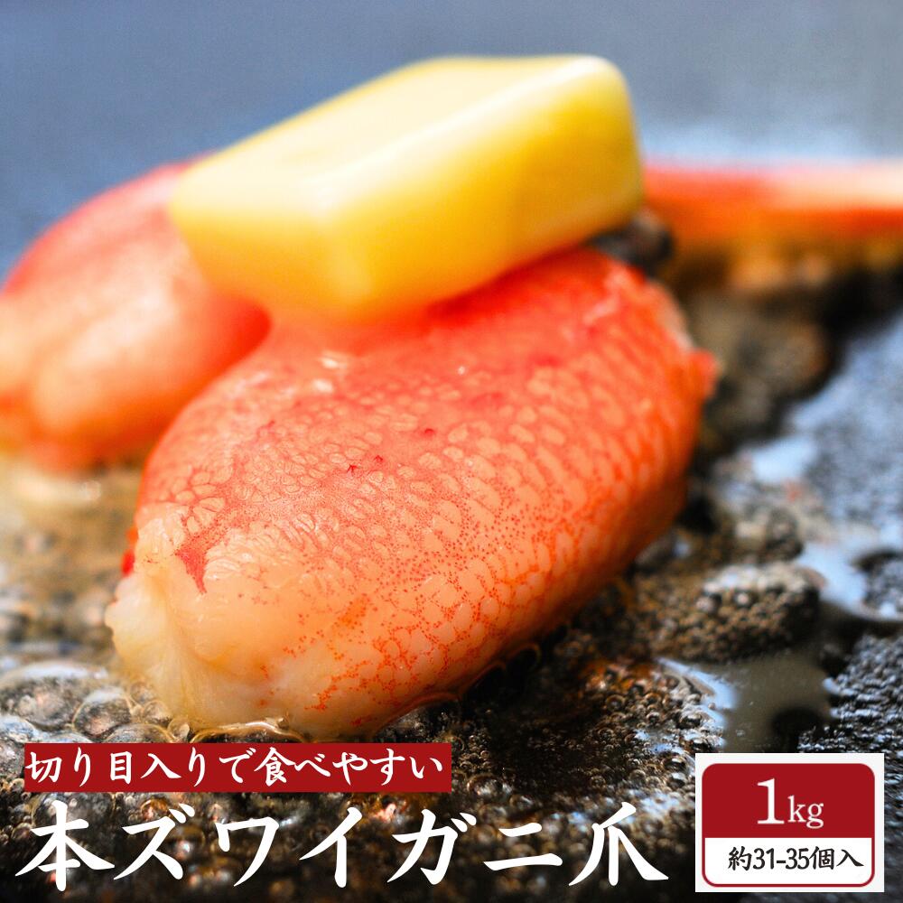 本ズワイガニ かに爪 1kg 切れ目入 ボイルずわい 蟹爪 約31-35個入 海鮮 グルメ おせち 年末年始 お誕生日 ギフト お取り寄せ お取り寄せグルメ 送料無料