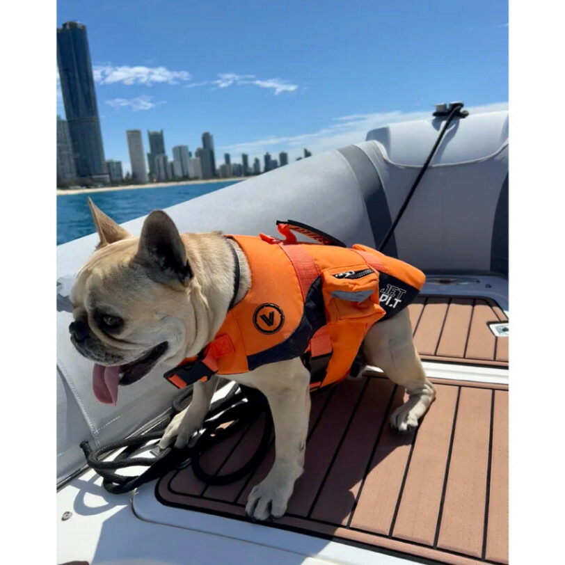 JETPILOT(ジェット機飛行士) DOG PFD ドッグベスト (オレンジ色)＃JA23014 *愛玩動物用生存期間上衣