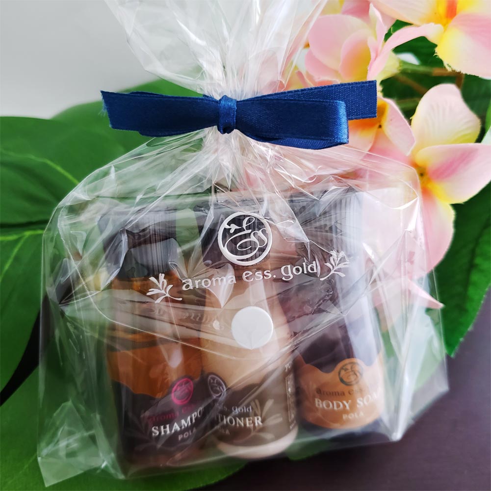 楽天市場】POLA ポーラ エステロワイエ 30mlx3種類ポーチ入り トラベル