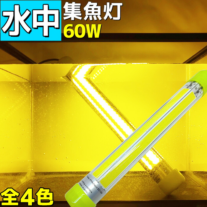 楽天市場 Led 水中集魚灯 集魚ライト 60w 水中ライト 12v専用 全4色 イカ アジ タチウオ クロダイ 仕掛け 夜焚き 船舶ライト 船舶 釣り 釣果 シラスウナギ イサキ 釣れる 集魚灯 ワニ口付き 面発光 Cob マリン商店