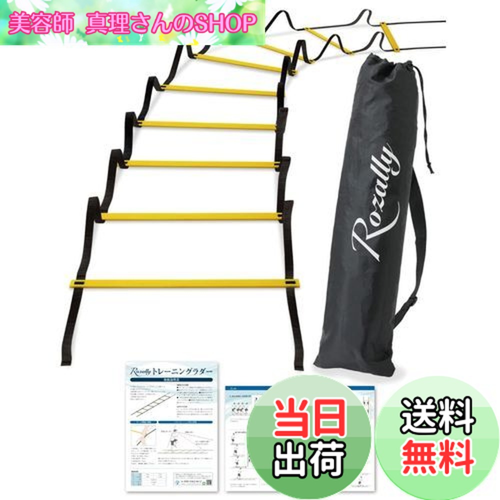 楽天市場】【NISHI ニシ・スポーツ】ラダー 屋内用 4m NT7705 陸上