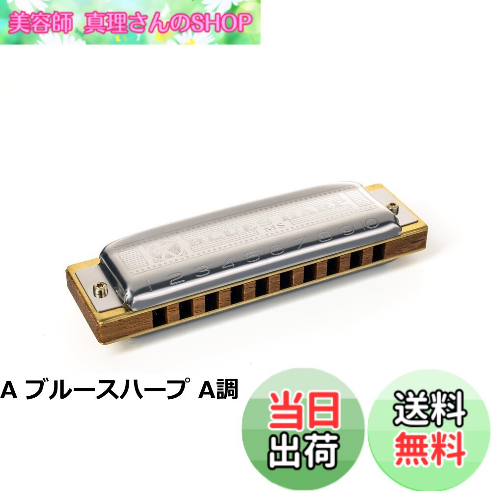 【送料無料】HOHNER ホーナー Blues Harp 532/20P