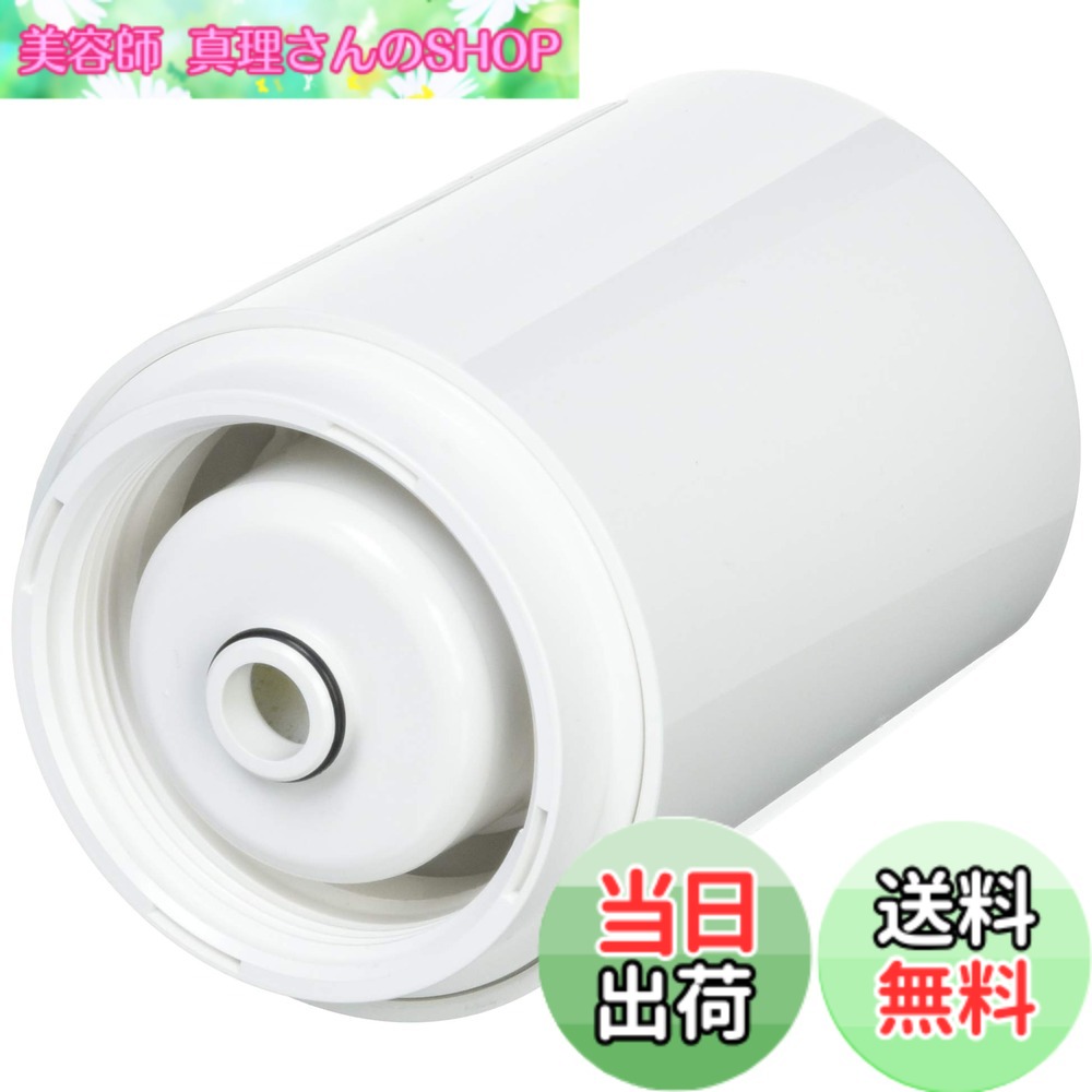【送料無料】パナソニック 交換用カートリッジ 【カビ臭・鉛・トリハロメタン除去タイプ】 [浄水能力:約4000L] TK6305C1