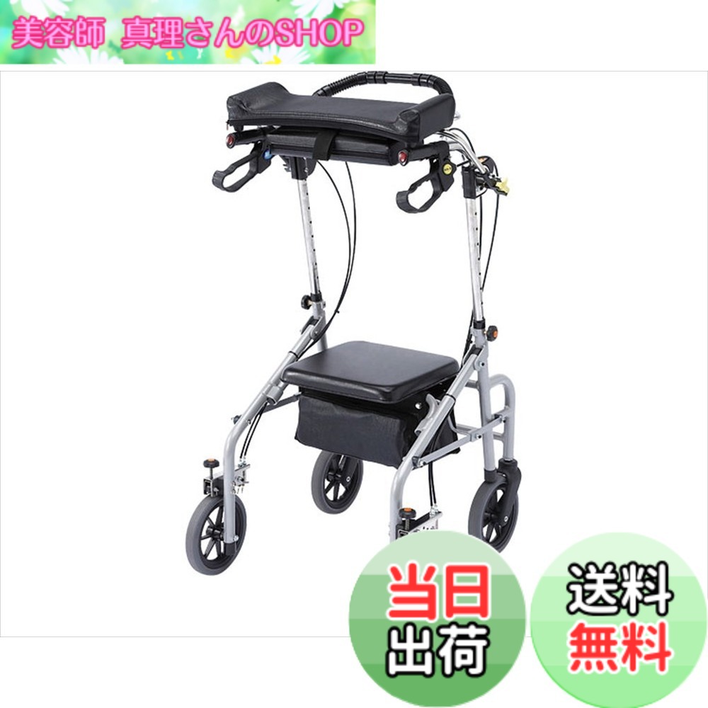 【貨物輸送無料】御拾いかばい立て車家兎 トール 座面有り WA-5 しろがね色 しろがね色鉄道車両 色：Multicolor