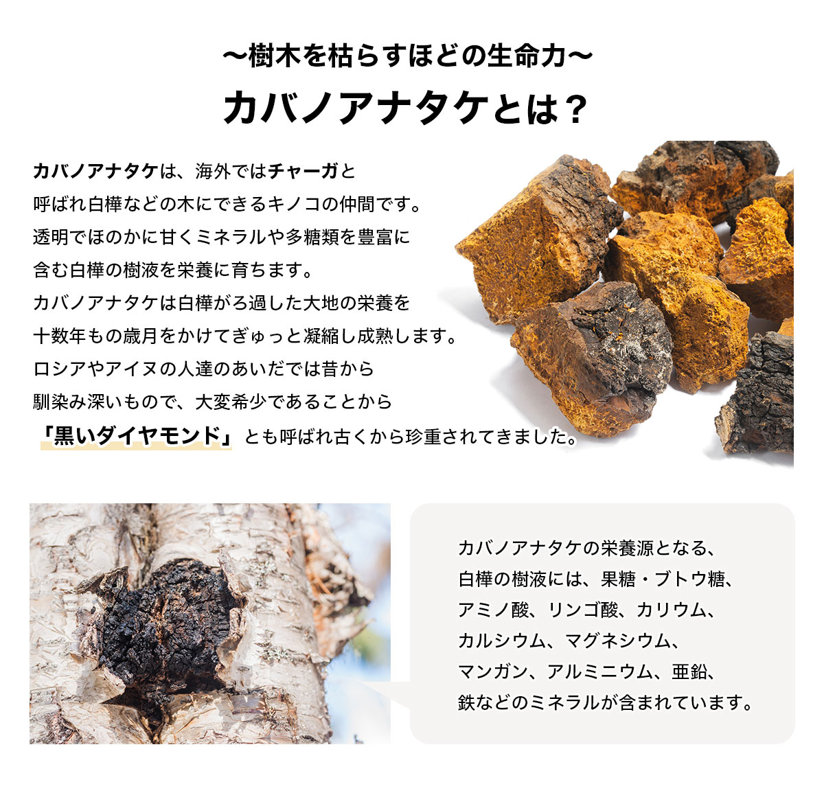 送料無料 天恵クオリティソープ 80g 天恵石鹸 100%植物由来 無添加