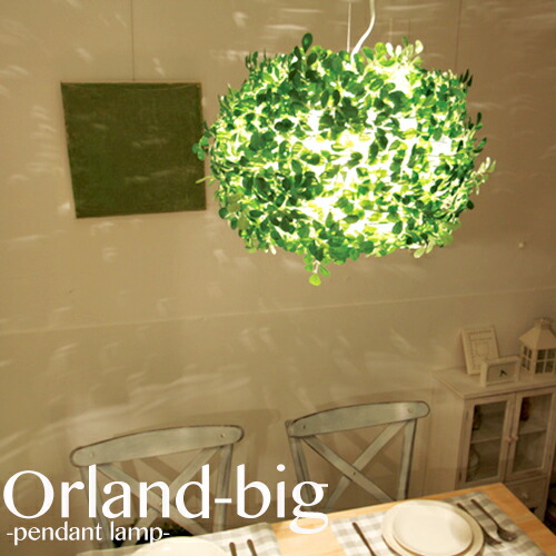 楽天市場】【ORLAND BIG オーランド ビッグ】DI CLASSE ディ