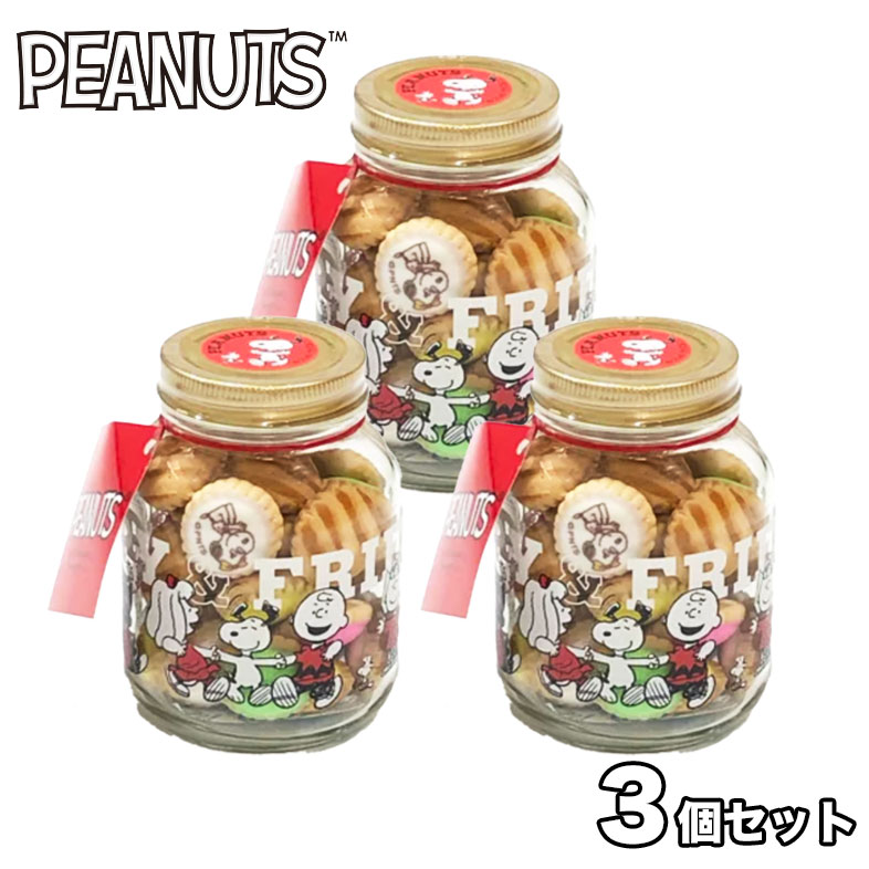 楽天市場 送料無料 スヌーピー ボトルクッキー ３個セット ビスケット クッキー スヌーピーボトル クッキーボトル アイシングクッキー ビスケット お菓子 グッズ ギフト 送料込 Market Basket