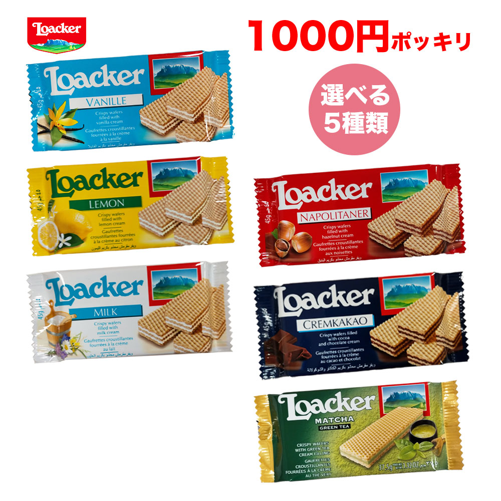 完璧 ロアカー ウエハース ココアミルクミニ 45g 144セット fucoa.cl