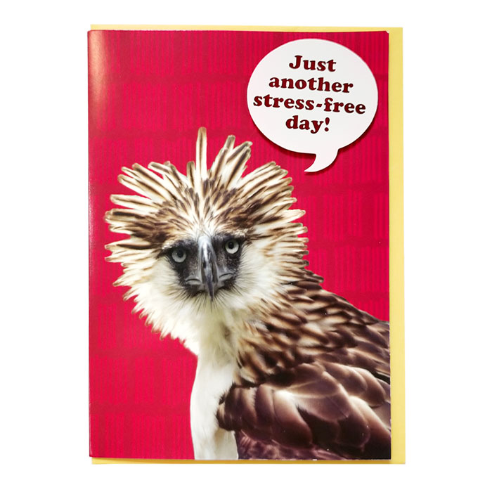 全国一律送料無料 メッセージカード グリーティングカード 1枚 誕生日 バースデーカード アニマル どうぶつ 動物カード 封筒付き 鳥