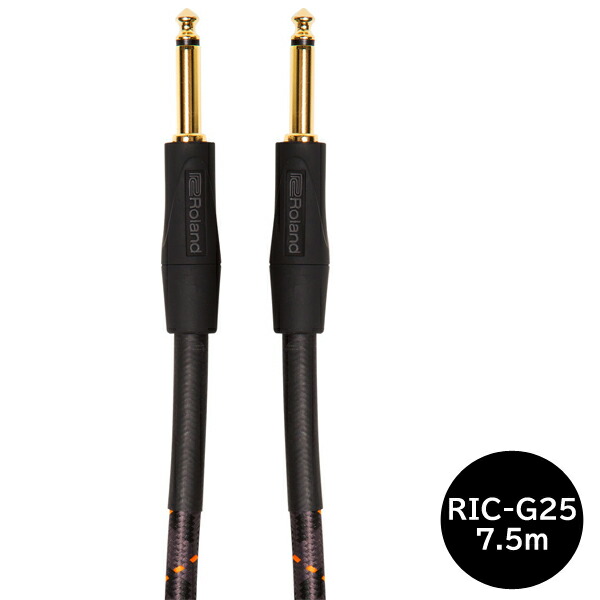 Roland ローランド RIC-G25 7.5m