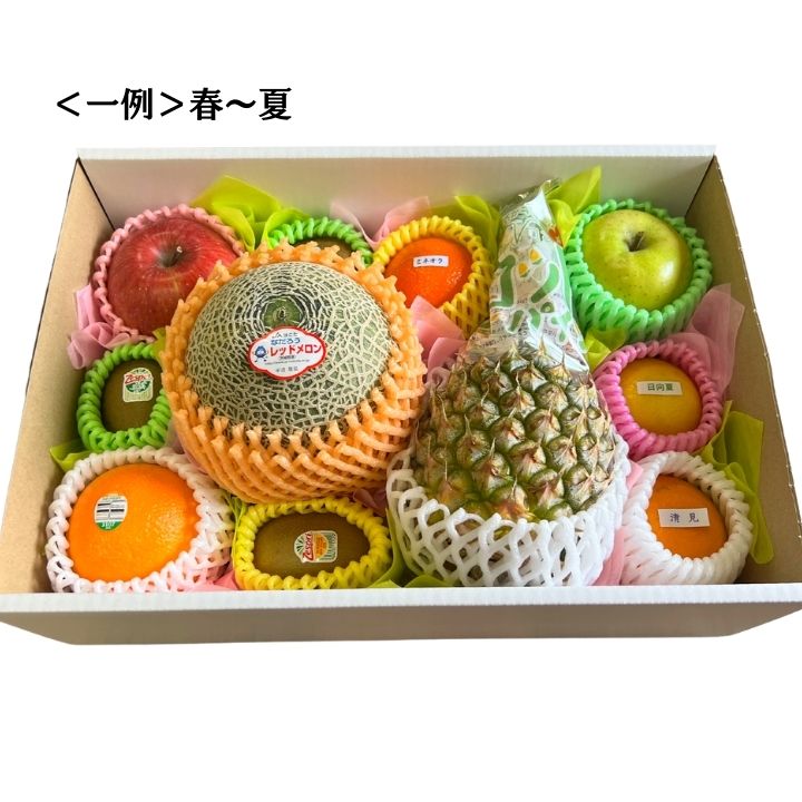 彩りフルーツセットL (メロン入) 送料無料 フルーツ 詰め合わせ メロン ギフト プレゼント 景品 お誕生日 誕生日プレゼント 結婚内祝 出産内祝 贈り物 お礼 お祝い お返し 内祝 法事 法要 感謝 人気 セット スイーツ