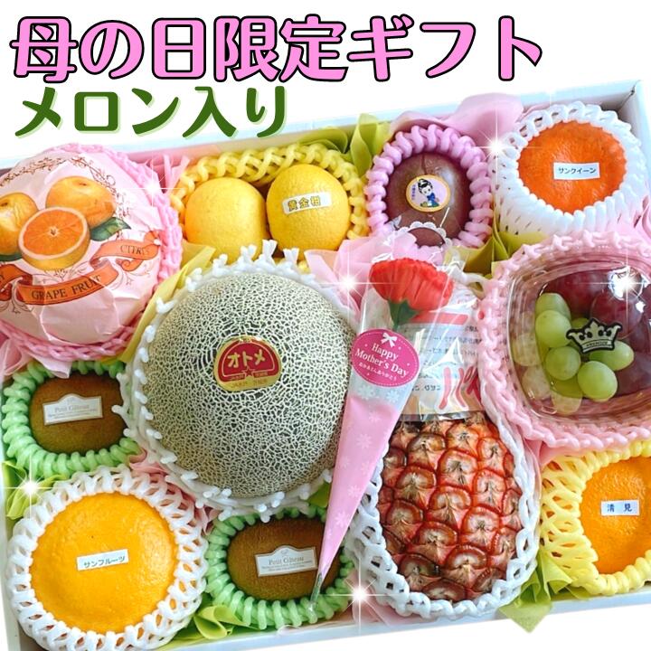 遅れてごめんね【母の日限定ギフト】 フルーツセット L ( メロン 入)  カーネーション 付き  ＼毎年大好評／ フルーツギフト 売れ筋 人気 ＼数量限定／