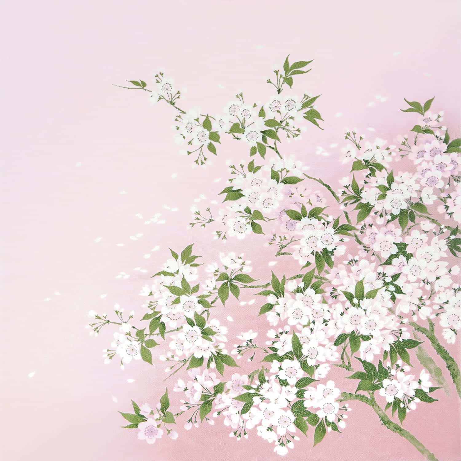 正絹 背中合わせちりめん友仙ふろしき 二巾 枝桜 【量目押さえる】【製造業者店卸し資産無くなり次第次第に為し終える】