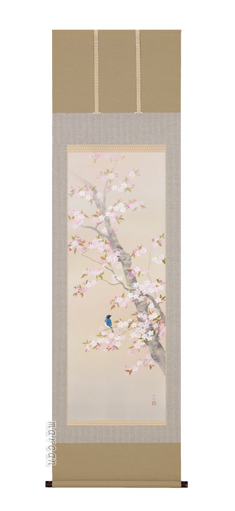掛け軸／掛軸　桜に小鳥（川島正行）【送料無料】【代引手数料無料】｜まろ庵