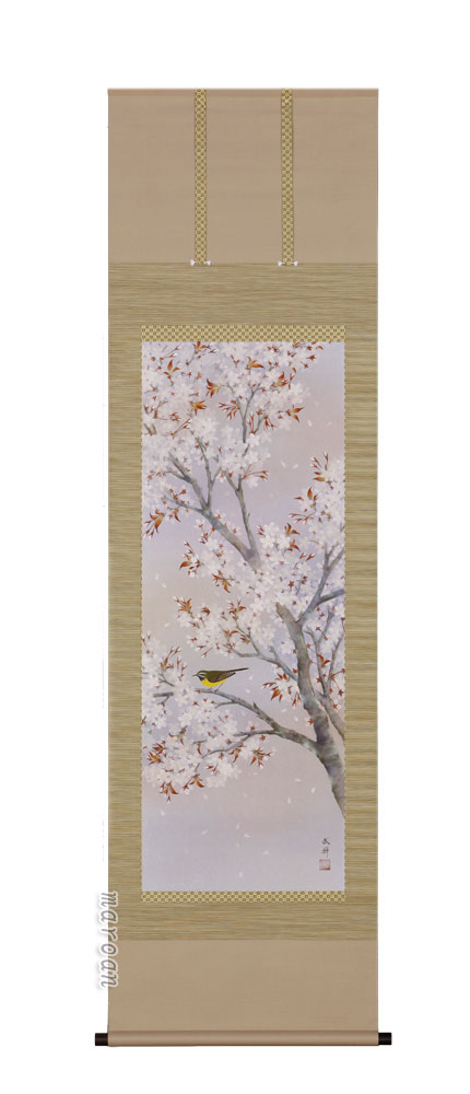 花隠　暁桜　賛入　桜名手　掛軸 花隠暁桜賛入桜名手掛軸
