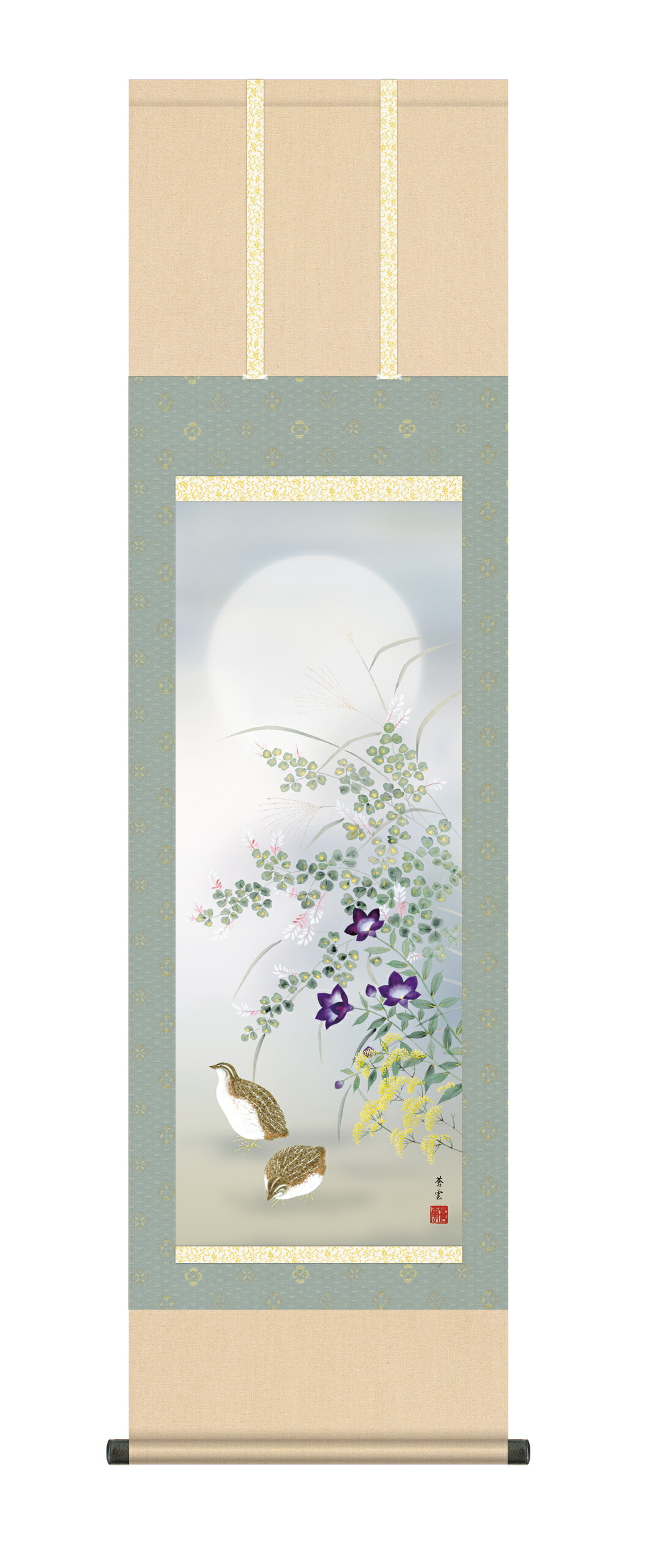 掛け軸／掛軸【花鳥/尺五】<br>秋草に鶉　茂木 蒼雲(草夕会)<br>　秋　うずら　月見【送料無料】【代引手数料無料】