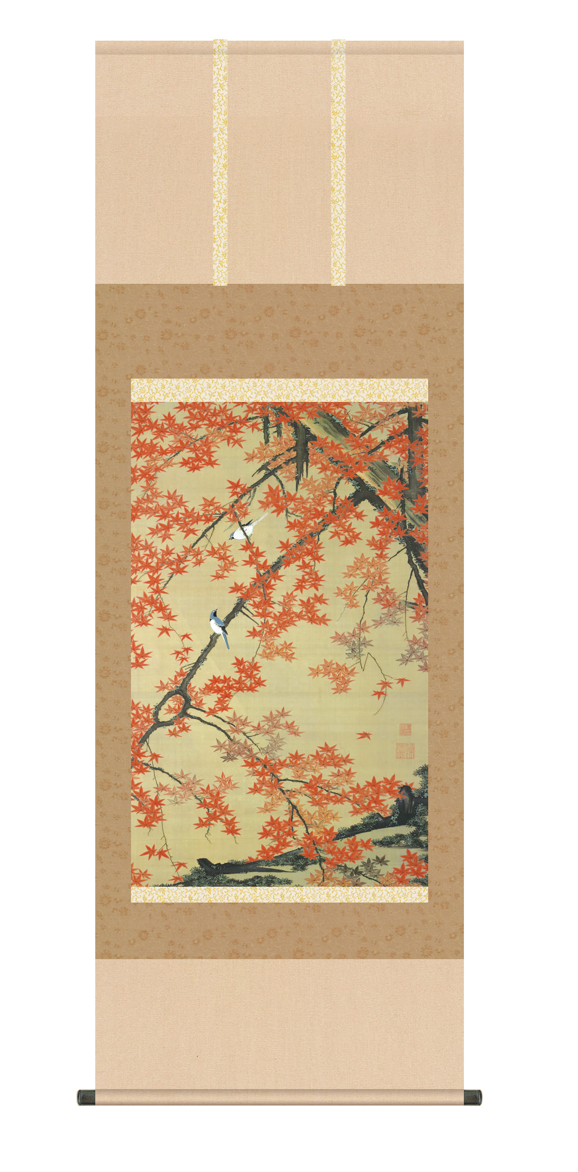 掛け軸(掛軸)【尺五】紅葉小禽図（こうようしょうきんず）　名画　複製　日本製　オオルリ　紅葉【送料無料】【代引き手数料無料】