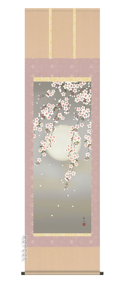 【掛け軸／掛軸／花鳥画】 夜桜（緒方　葉水） 【送料無料】【代引き手数料無料】
