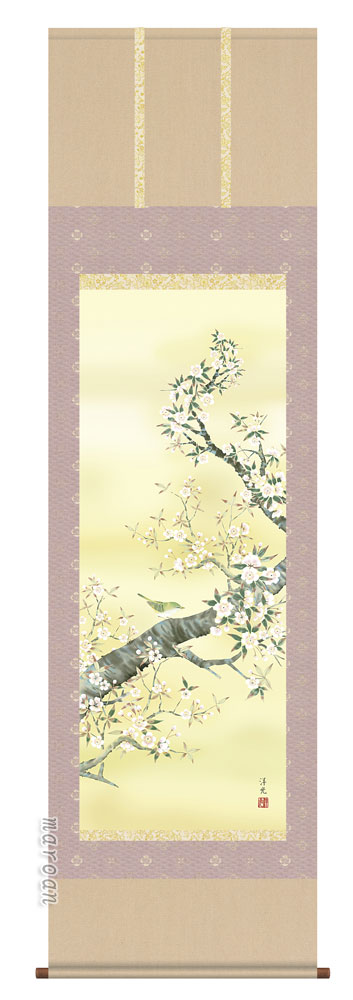 楽天市場】掛け軸 掛軸（かけじく）桜（河津 武禅）全国送料無料
