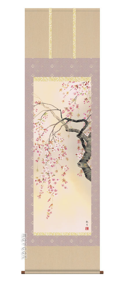 掛け軸／掛軸【春】<br>桜花爛漫（森山　観月）<br>【送料無料】【代引手数料無料】