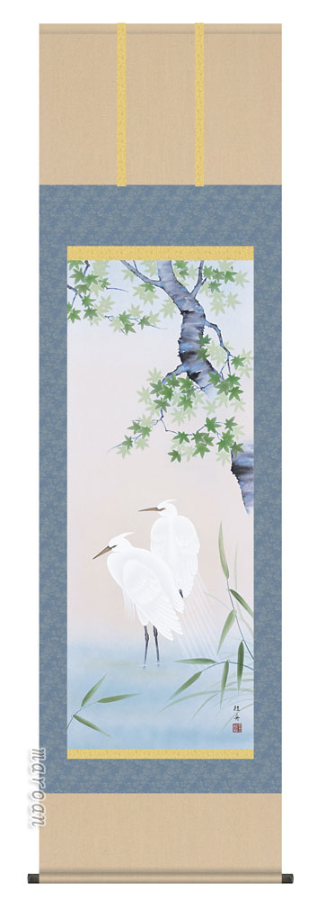 掛け軸／掛軸【四季揃・夏】<br>四季花鳥・楓に白鷺（長江　桂舟）<br>【送料無料】【代引手数料無料】