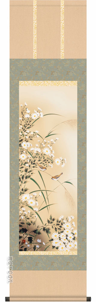 掛け軸 掛軸 かけじく 花鳥画<br>菊花に雀（緒方　葉水）【尺三】<br>【送料無料】【代引き手数料無料】