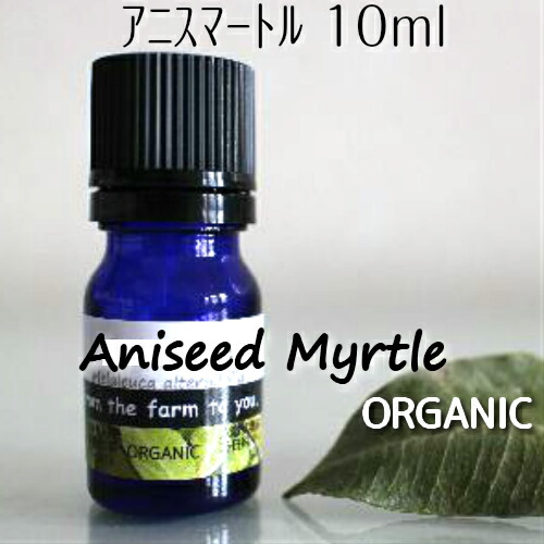 【60％off】アニスマートル精油 10ml♪100％ピュア　エッセンシャルオイル♪オーガニック♪落ち着く香り♪スパイシーなアニシードやリコリスの独特の香り♪ストレス解消！抗不安症！リフレッシュ！アロマオイル♪【当店通常価格2926円】