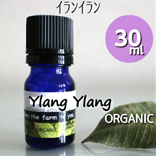 イランイラン精油 30ml♪オーガニック♪♪100％ピュア　エッセンシャルオイル♪エキゾチックで甘いフローラルの香り♪抗うつ！抗菌！ストレスを和らげる！高級フレグランス♪アロマオイル♪【送料無料】｜マロンヒル 7,970円