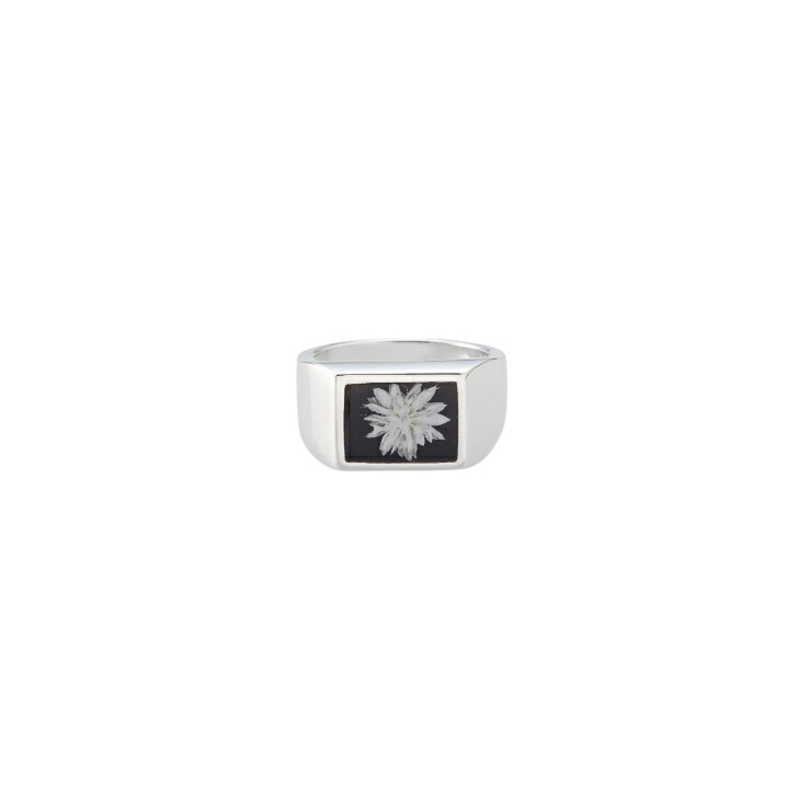 指輪・リング XOLO SignetRing with  Purple Flower 楽天市場】XOLO(ショロ) Signet Ring with Black Flower