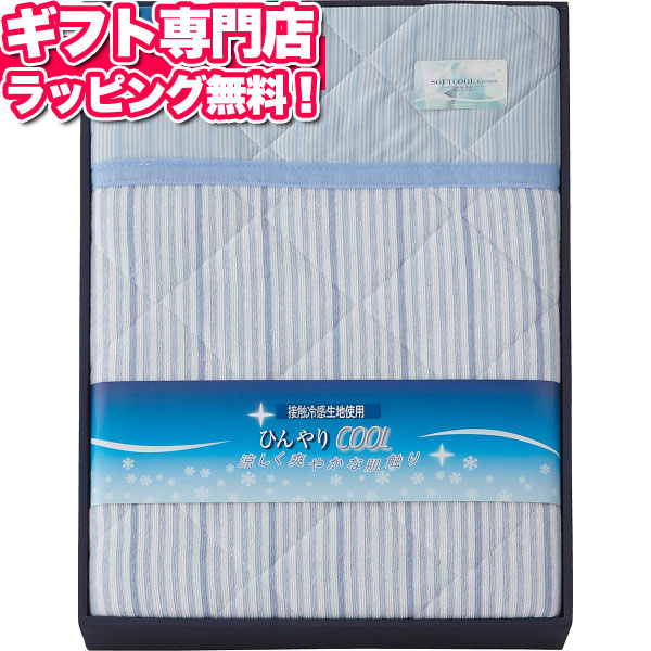 ひんやり涼感キルト肌掛けふとん 送料無料 ポイント10倍ギフトセット 寝装品お中元 父の日 人気 記念品 プレゼント 出産内祝い 結婚内祝い 出産祝い 結婚祝い 引き出物 お祝い お返し 香典返し 快気祝い お祝い返し メッセージカード Psicologosancora Es