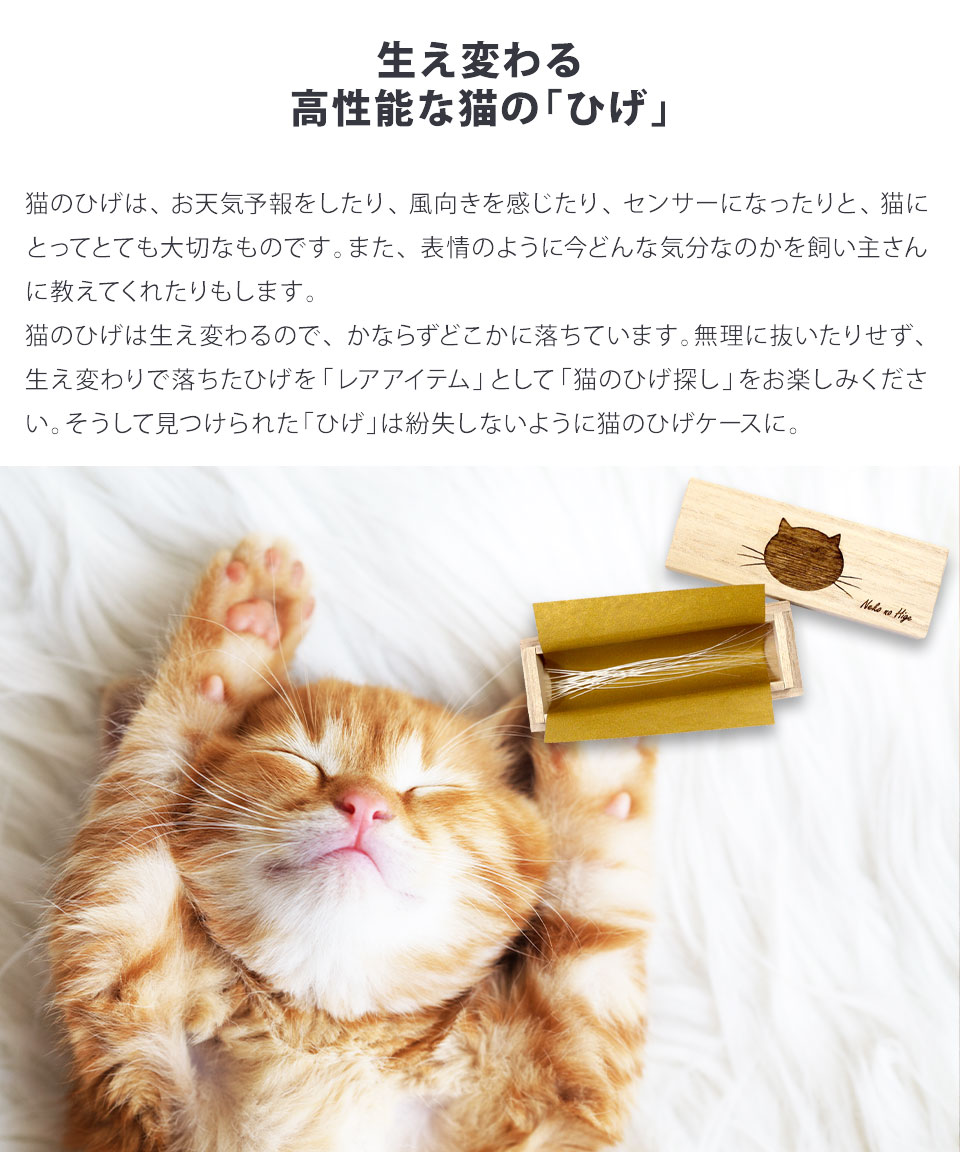 楽天市場 猫のひげケース スタンダードタイプ 桐箱 名前シール付き ビーグラッド メール便送料無料 ギフト ねこのひげ ひげ入 木箱 ひげケース ネコ 両親 孫 七五三 プレゼント 出産内祝い 結婚内祝い 出産祝い 結婚祝い 引き出物 お祝い お返し 香典返し 快気祝い