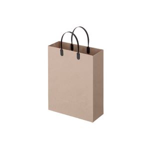 （まとめ） TANOSEE ラミネートクラフトバッグ 小 ヨコ270&times;タテ350&times;マチ幅110mm 黒 1パック（10枚） 【&times;3セット】｜BONATHIA