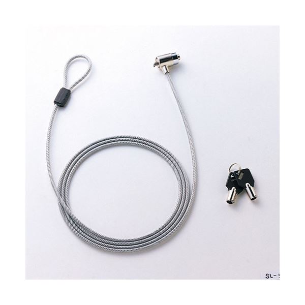 (まとめ)サンワサプライ ノートパソコンセキュリティ SL-31S【×2仕掛ける】