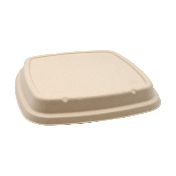 (まとめ) 容器に並べる表現スタイル BB竹バガス弁当 N23-23F 共蓋 235×235×高さ18粍 1容器に並べる(50枚) 【×3書き割り】