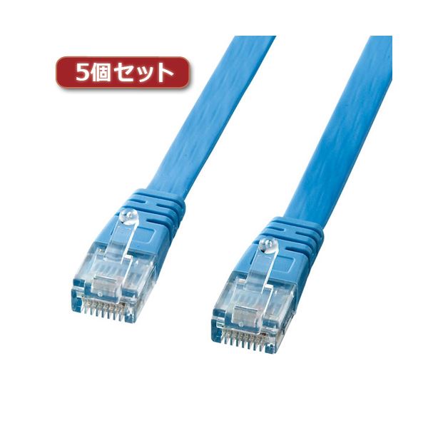 5個書き割り サンワサプライ UTPエンハンスドカテゴリ5より線滑っこい有線テレビ（点火装置青碧・15m） 天使の都市-FL5-15LBKX5